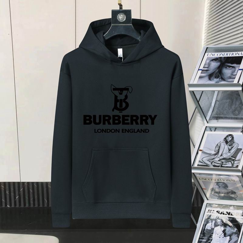 Burberry Hoodie Mens ID:20241022-136